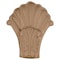 Ekena Millwork 5 1/4"W x 2"D x 6 1/2"H Medium Acanthus in Shell Corbel, Alder COR05X01X06SHAL - alternate 3